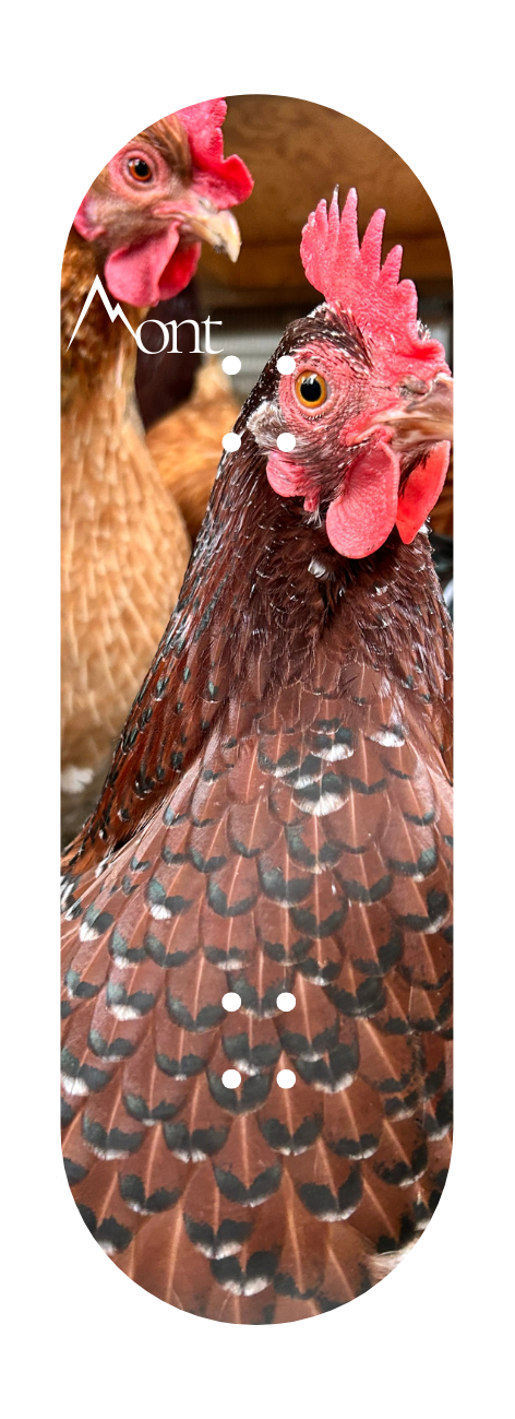 Hens